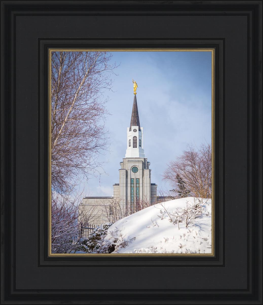 Boston Morning Snow Vertical