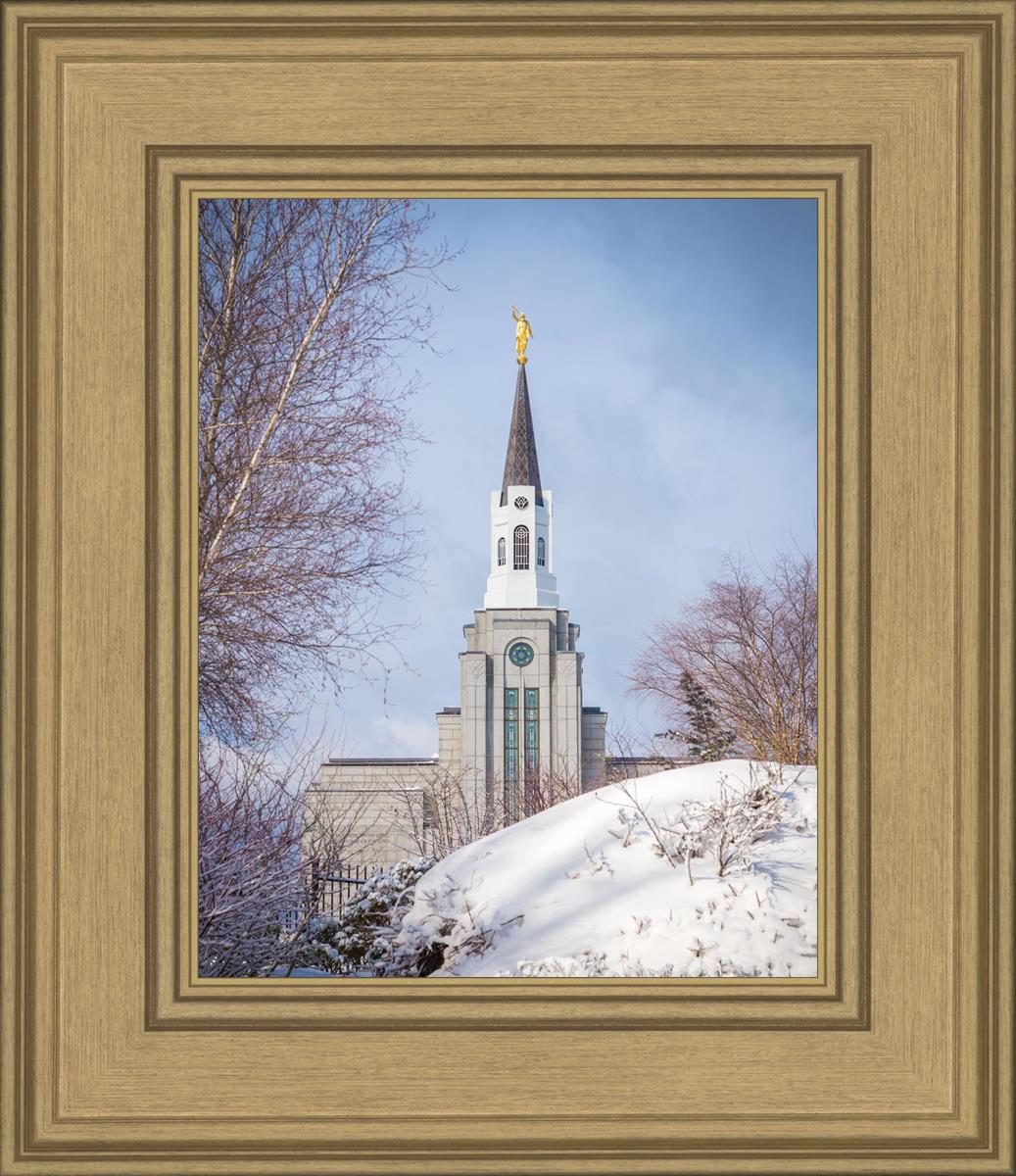 Boston Morning Snow Vertical