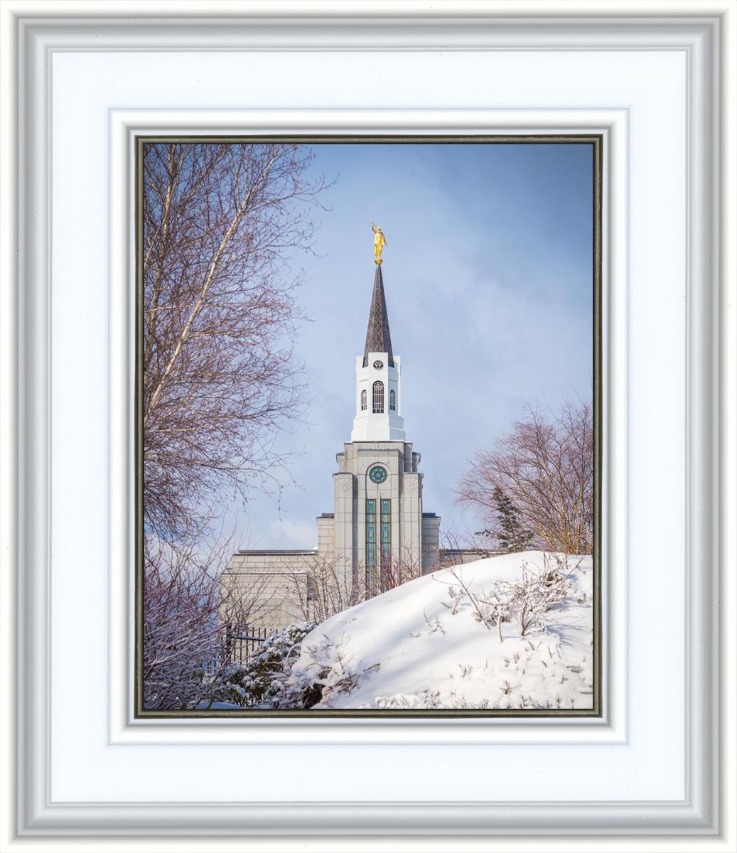 Boston Morning Snow Vertical