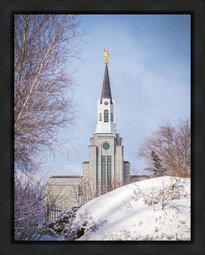 Boston Morning Snow Vertical
