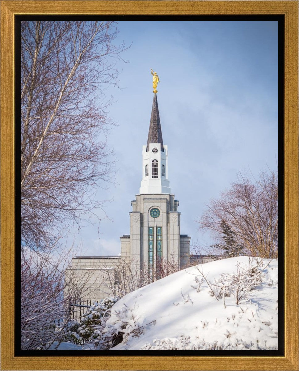 Boston Morning Snow Vertical