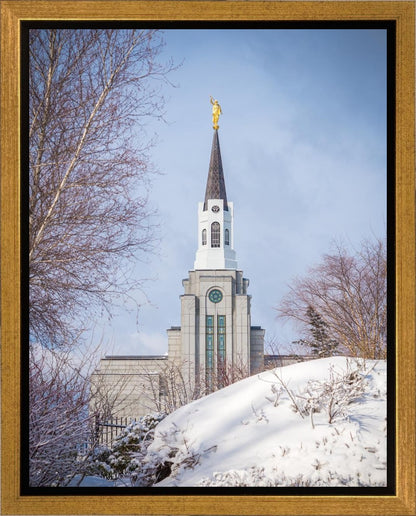 Boston Morning Snow Vertical