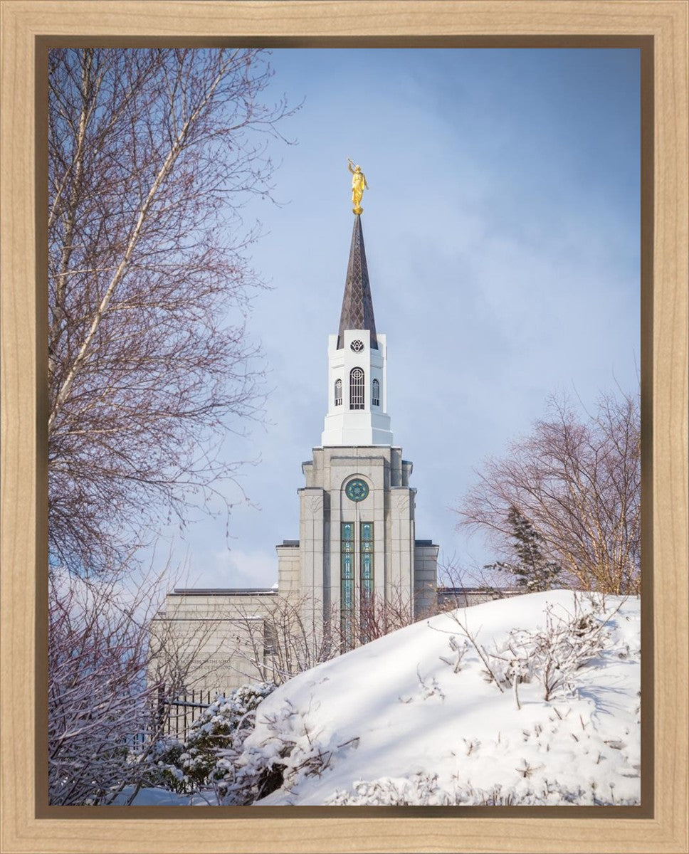 Boston Morning Snow Vertical