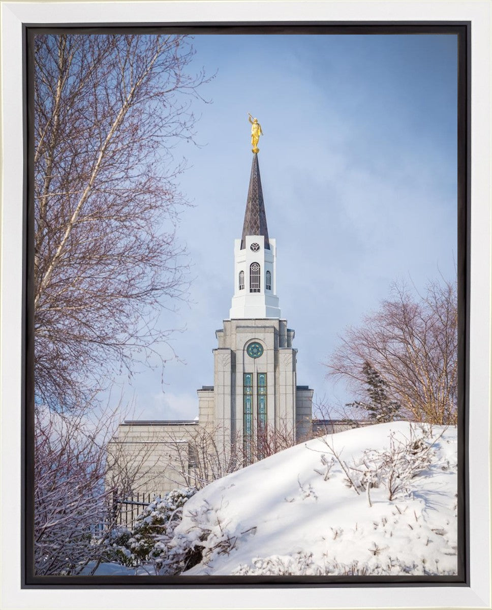 Boston Morning Snow Vertical