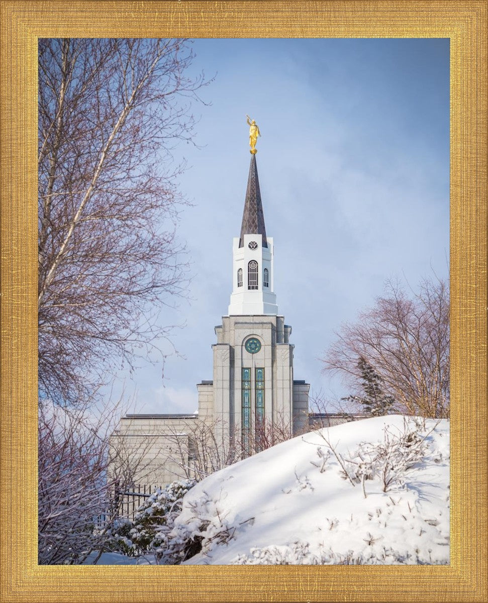 Boston Morning Snow Vertical