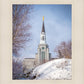 Boston Morning Snow Vertical