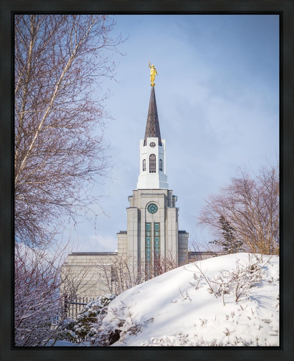 Boston Morning Snow Vertical