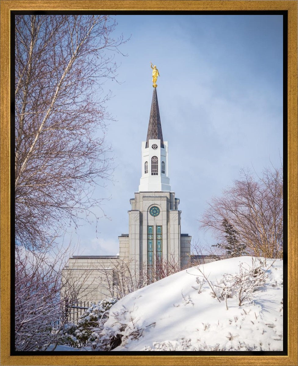 Boston Morning Snow Vertical