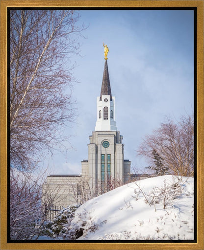 Boston Morning Snow Vertical