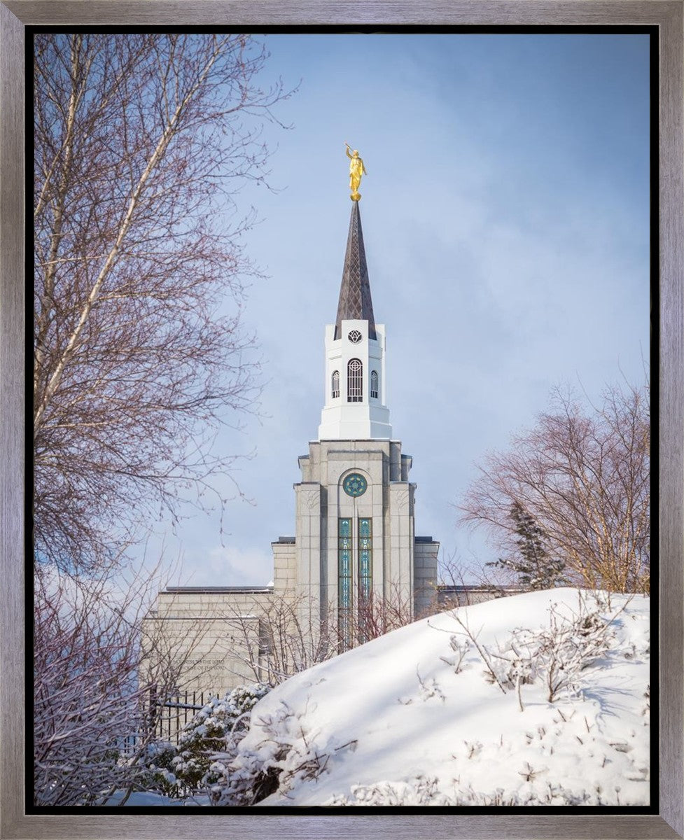 Boston Morning Snow Vertical