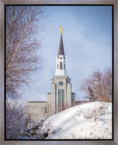 Boston Morning Snow Vertical
