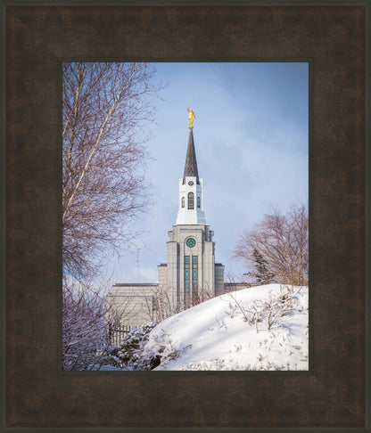 Boston Morning Snow Vertical
