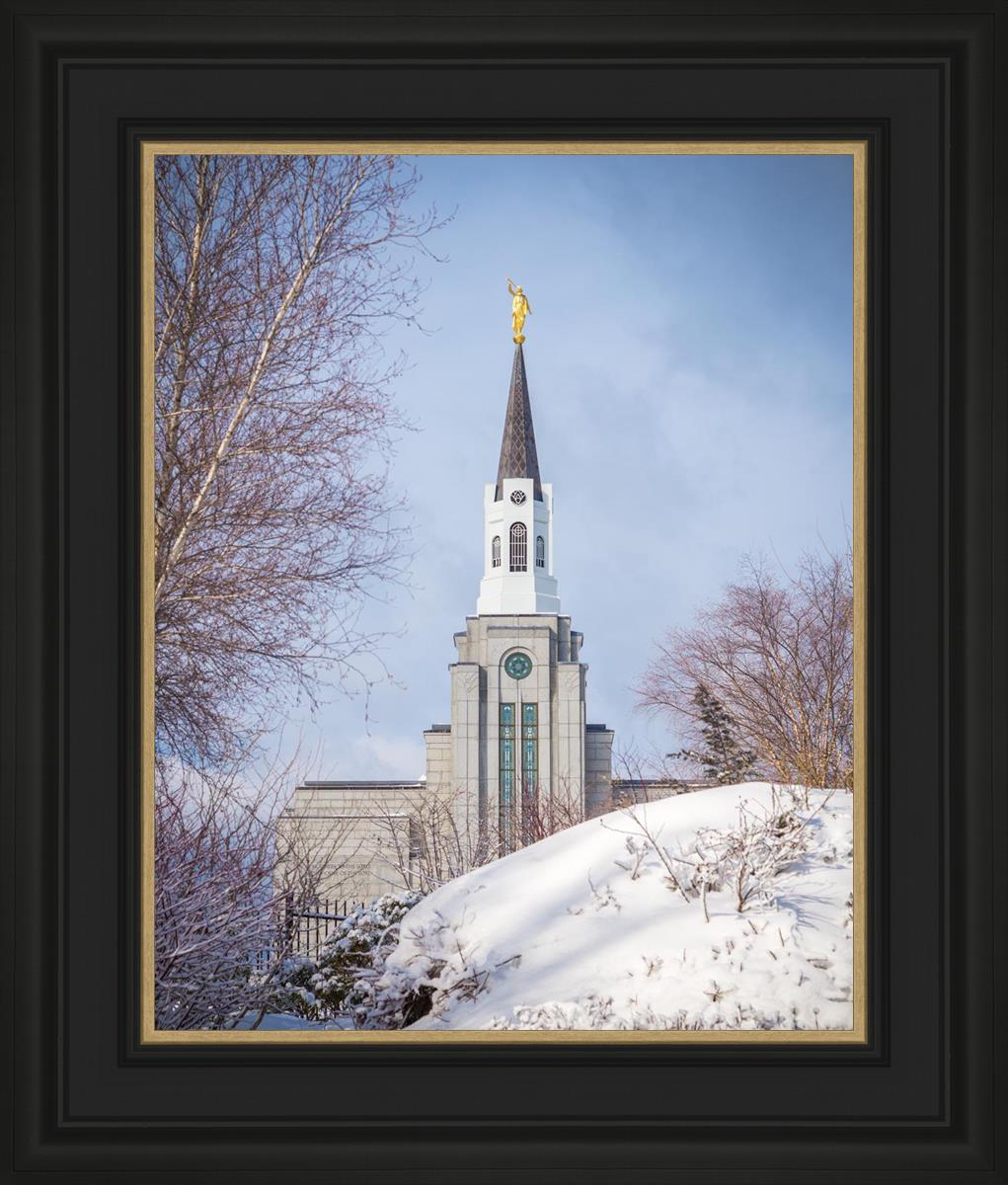 Boston Morning Snow Vertical