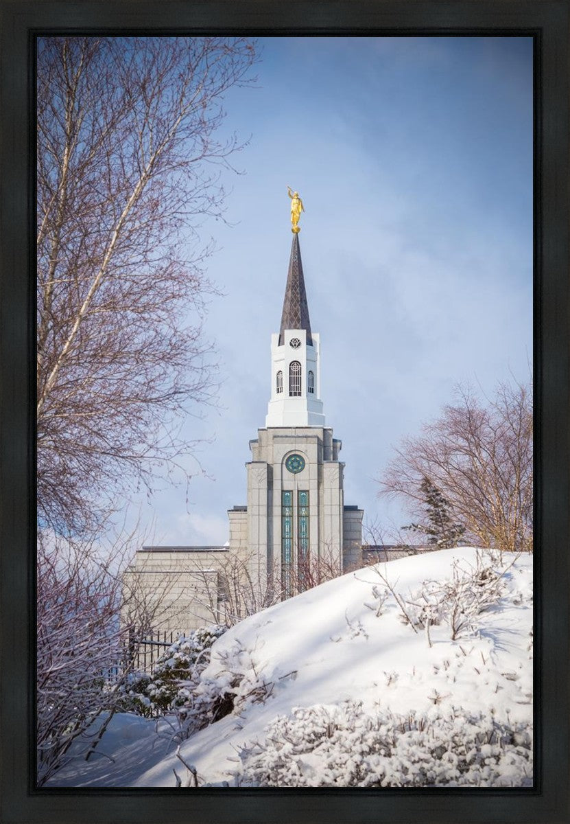 Boston Morning Snow Vertical
