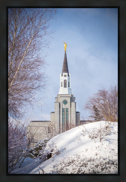 Boston Morning Snow Vertical