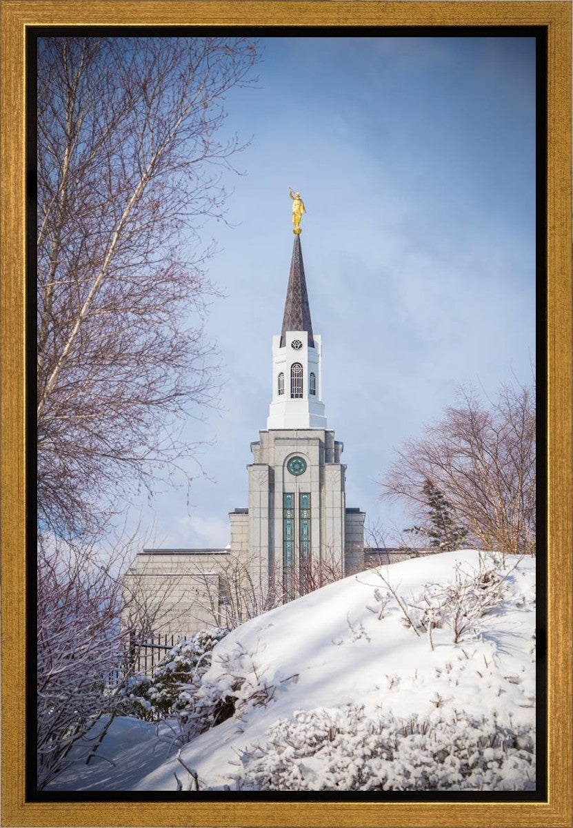 Boston Morning Snow Vertical