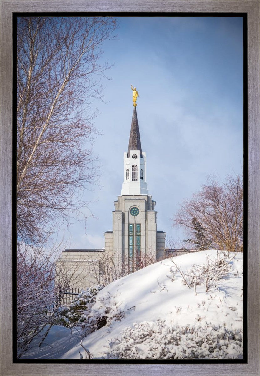 Boston Morning Snow Vertical