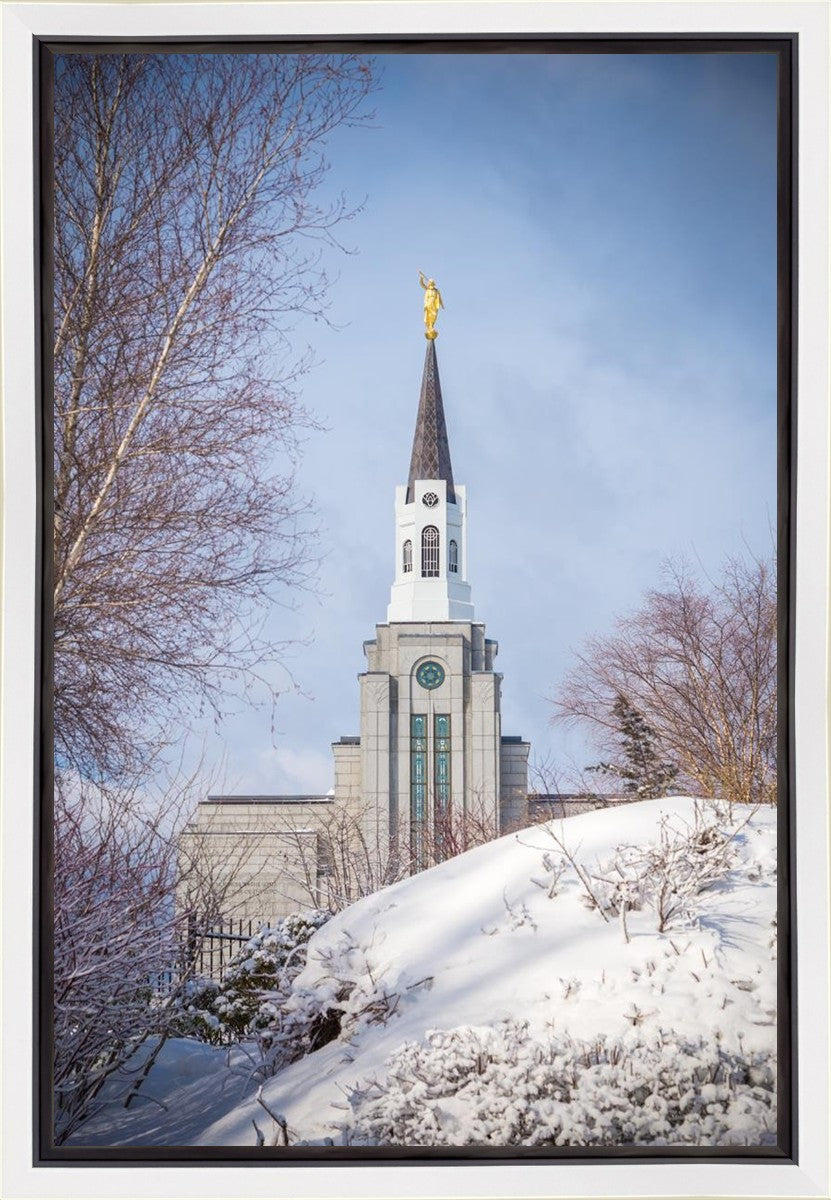 Boston Morning Snow Vertical