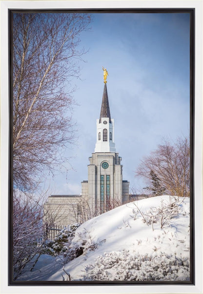 Boston Morning Snow Vertical