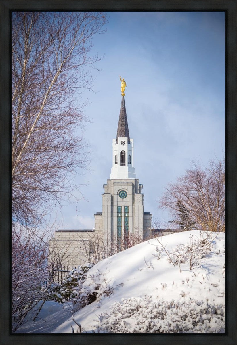 Boston Morning Snow Vertical