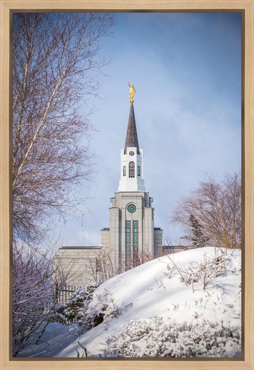 Boston Morning Snow Vertical