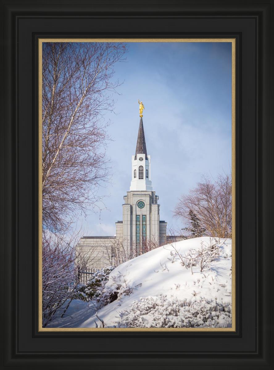 Boston Morning Snow Vertical