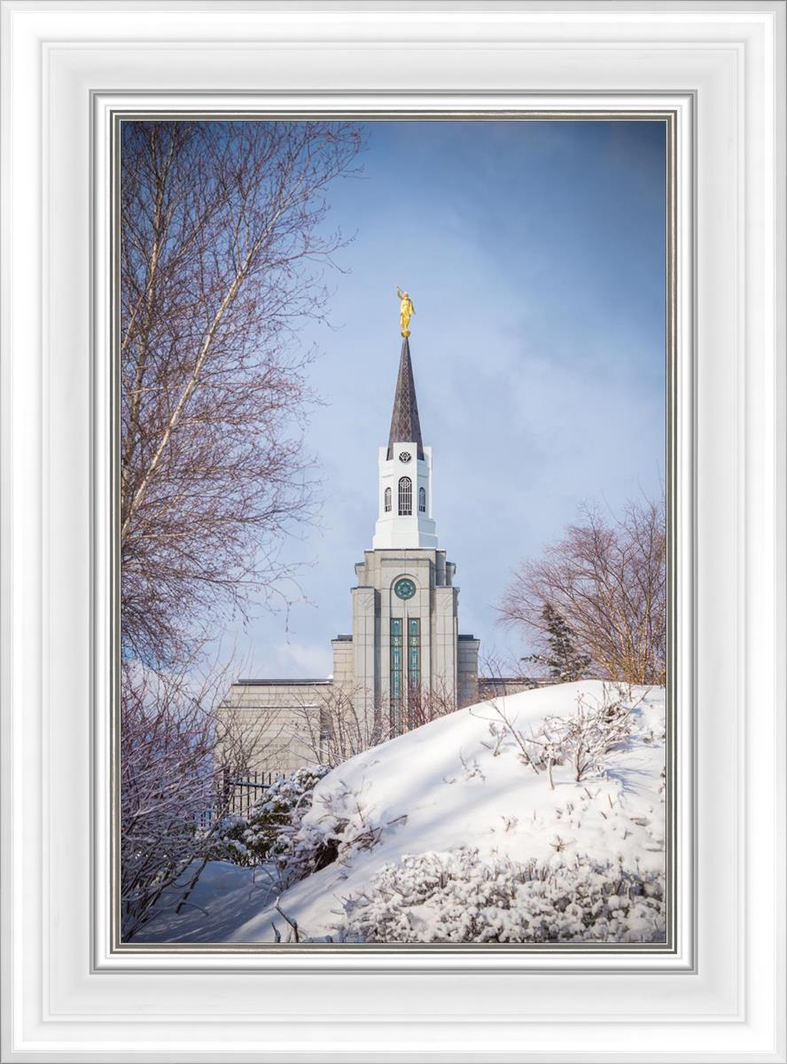 Boston Morning Snow Vertical