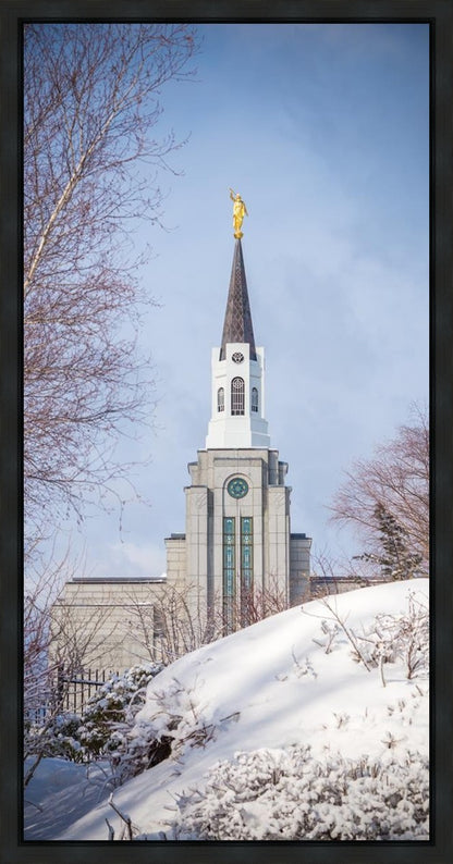 Boston Morning Snow Vertical