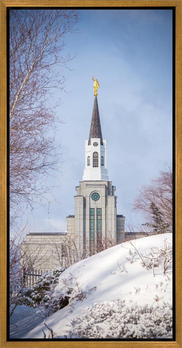 Boston Morning Snow Vertical