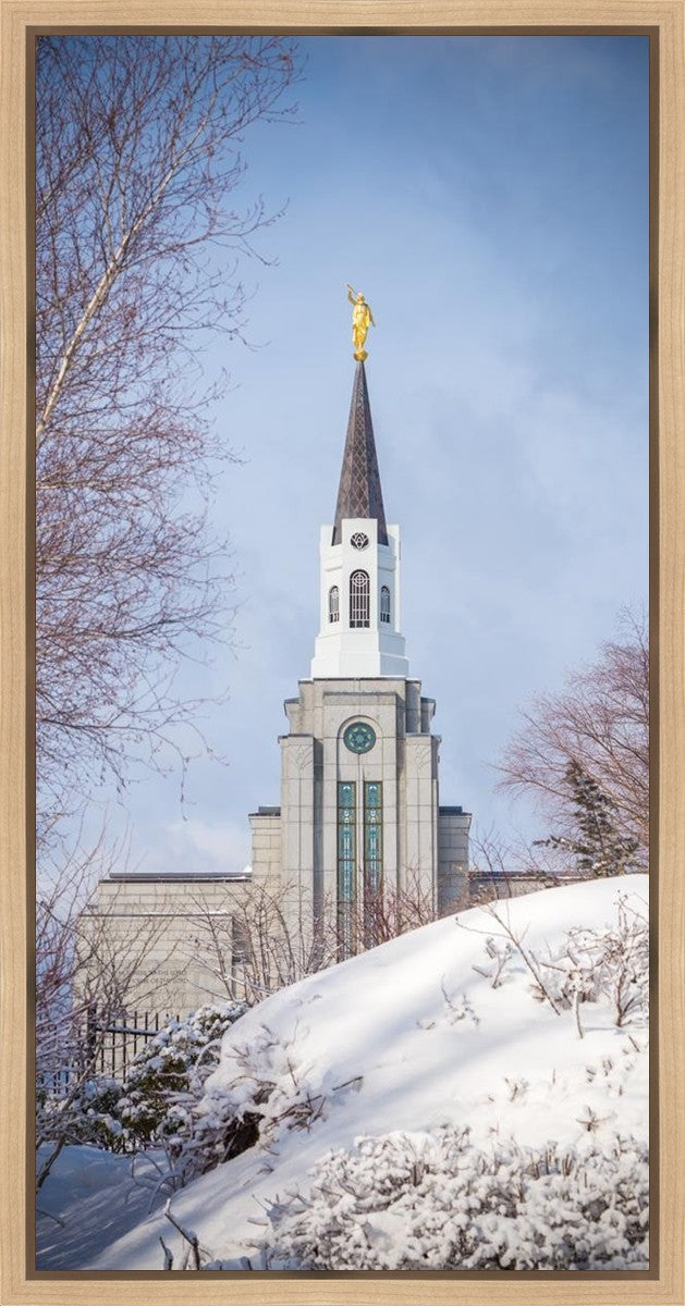 Boston Morning Snow Vertical