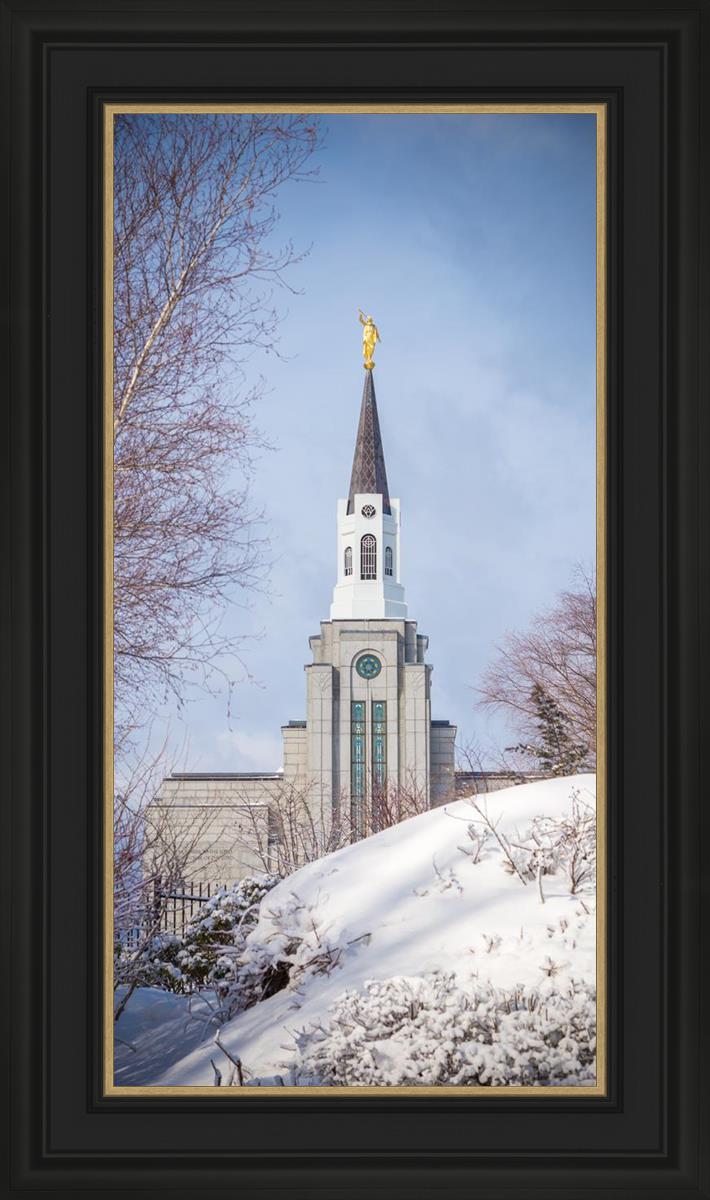 Boston Morning Snow Vertical