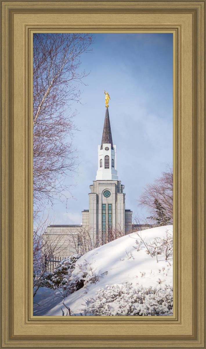 Boston Morning Snow Vertical