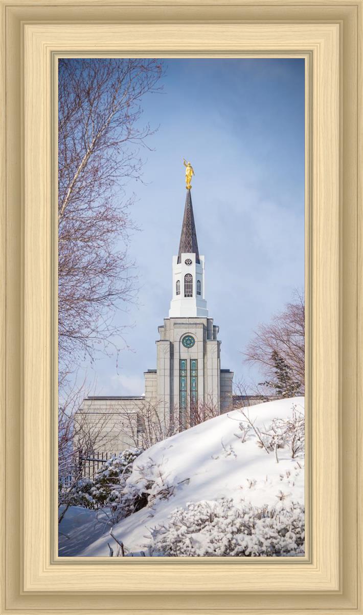 Boston Morning Snow Vertical