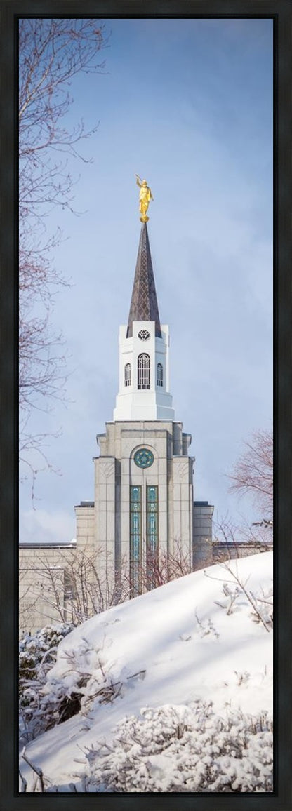 Boston Morning Snow Vertical