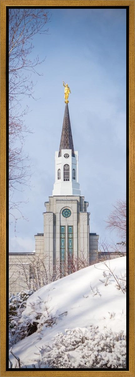 Boston Morning Snow Vertical