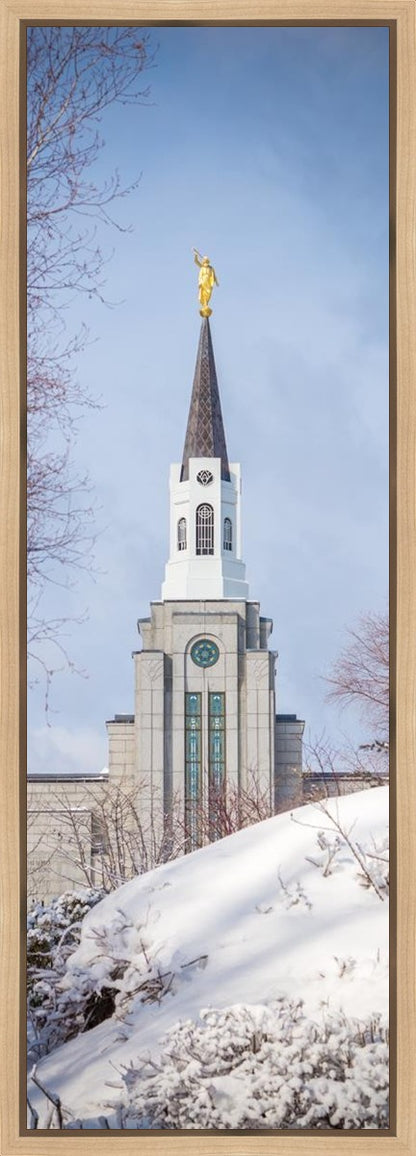 Boston Morning Snow Vertical