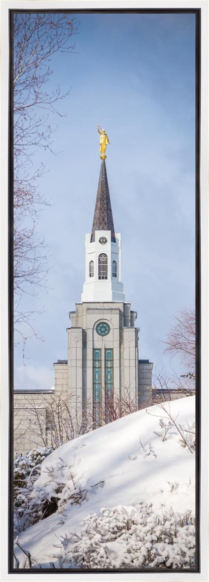 Boston Morning Snow Vertical