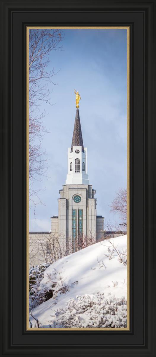 Boston Morning Snow Vertical