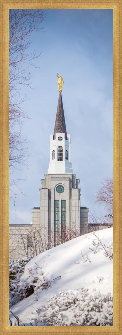 Boston Morning Snow Vertical