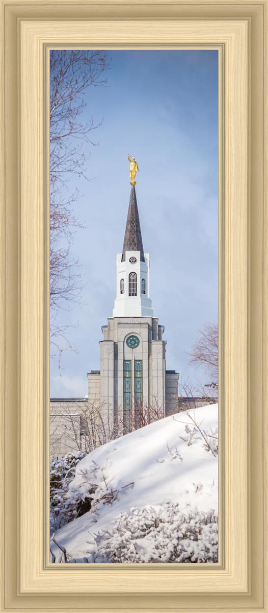 Boston Morning Snow Vertical