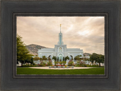 Mount Timpanogos Golden Morning