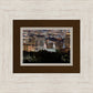 Salt Lake Temple City View