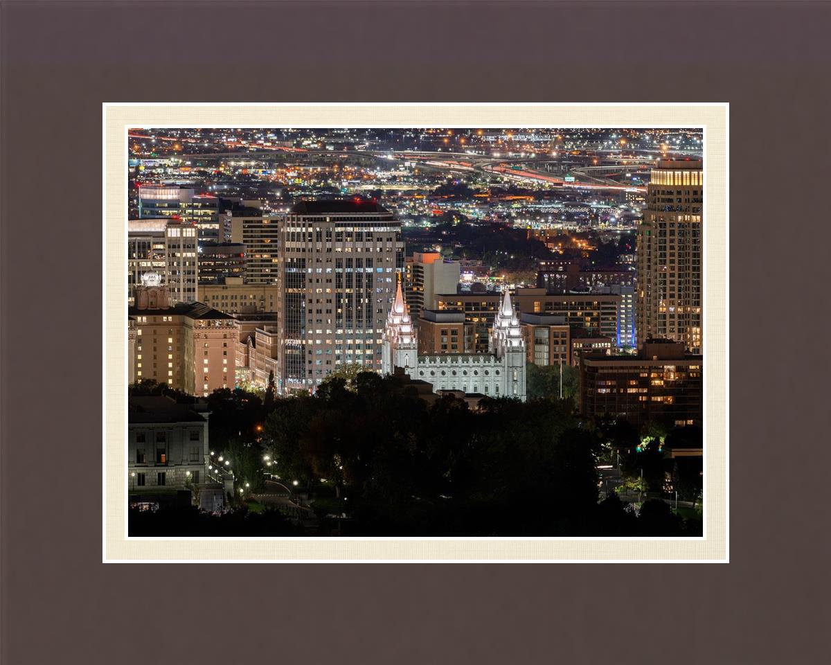 Salt Lake Temple City View