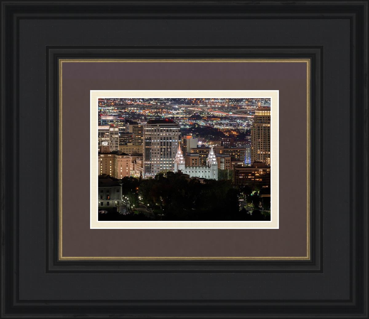 Salt Lake Temple City View