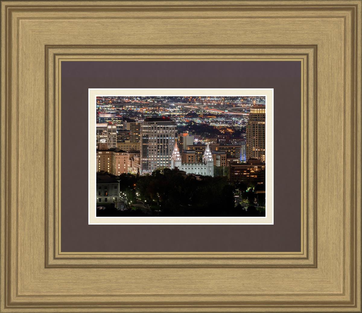 Salt Lake Temple City View