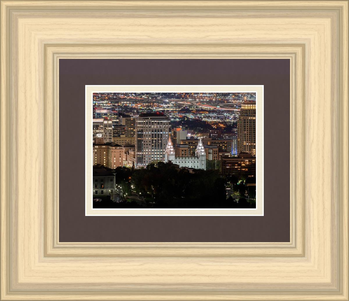 Salt Lake Temple City View