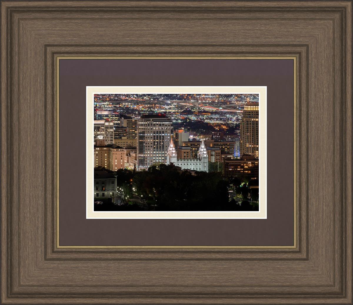 Salt Lake Temple City View