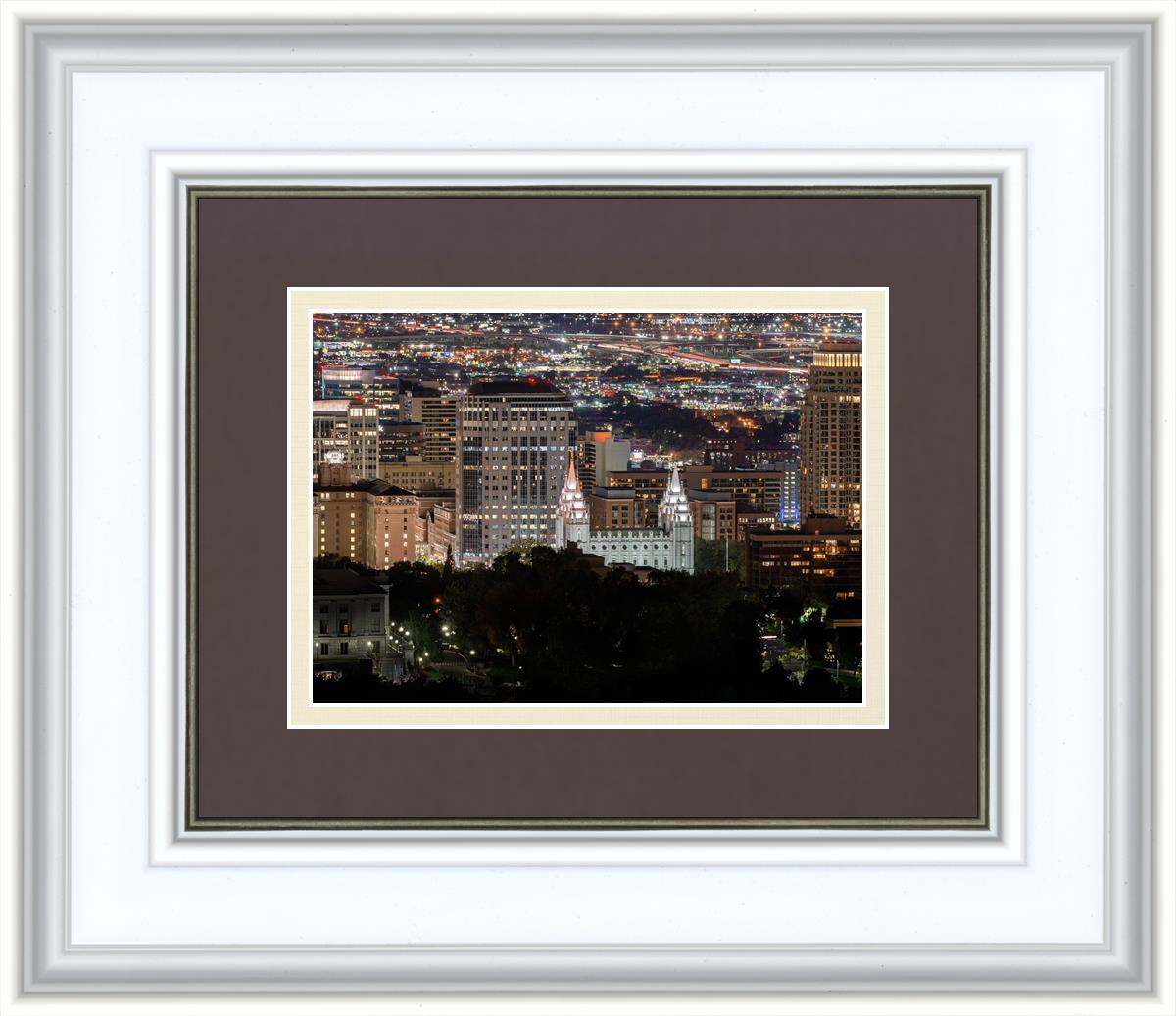 Salt Lake Temple City View