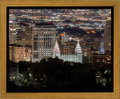 Salt Lake Temple City View