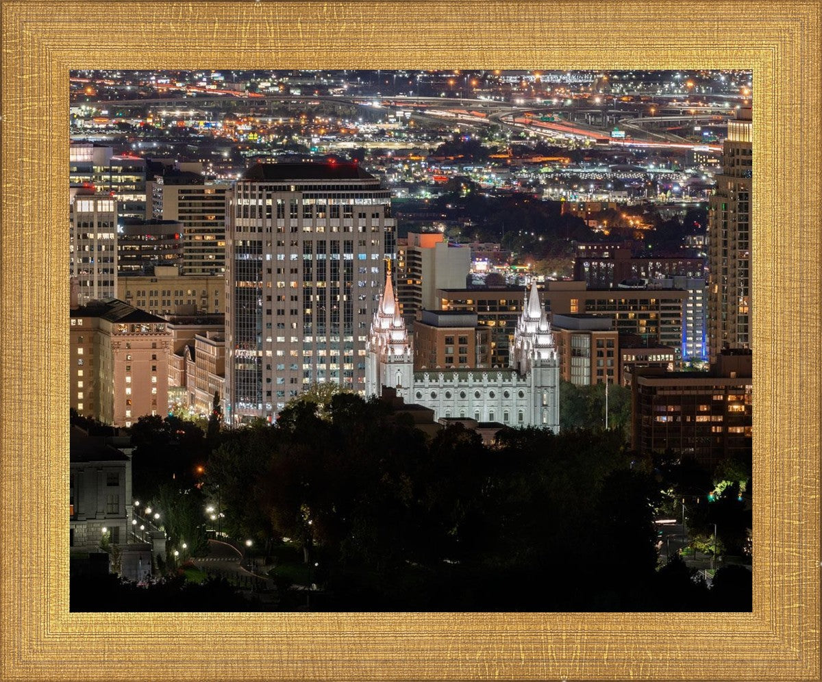 Salt Lake Temple City View